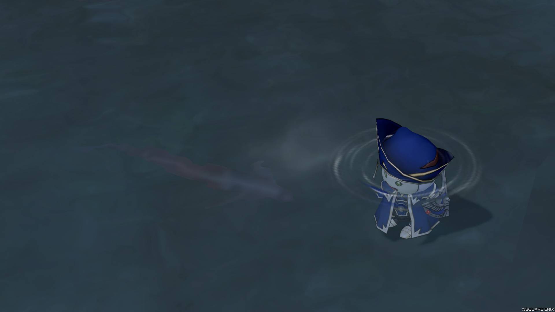水中の魚