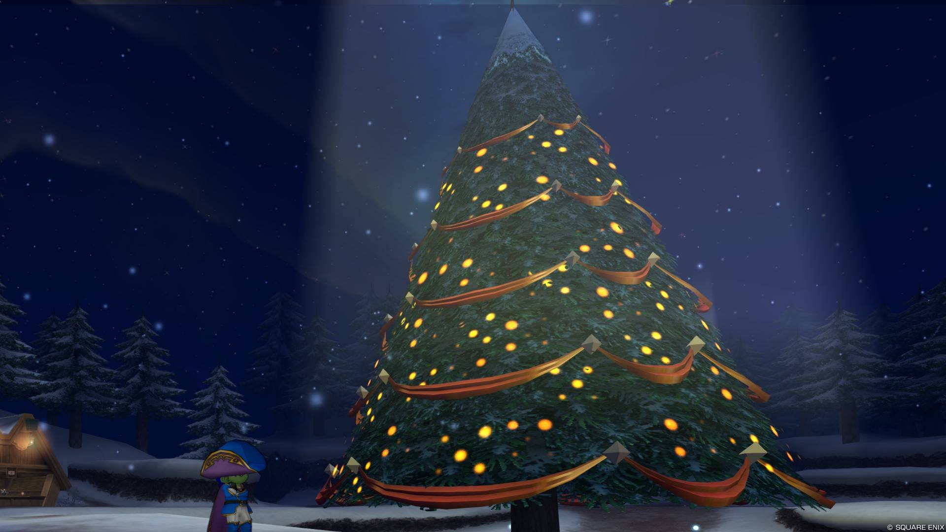 星の大樹（飾りなし）