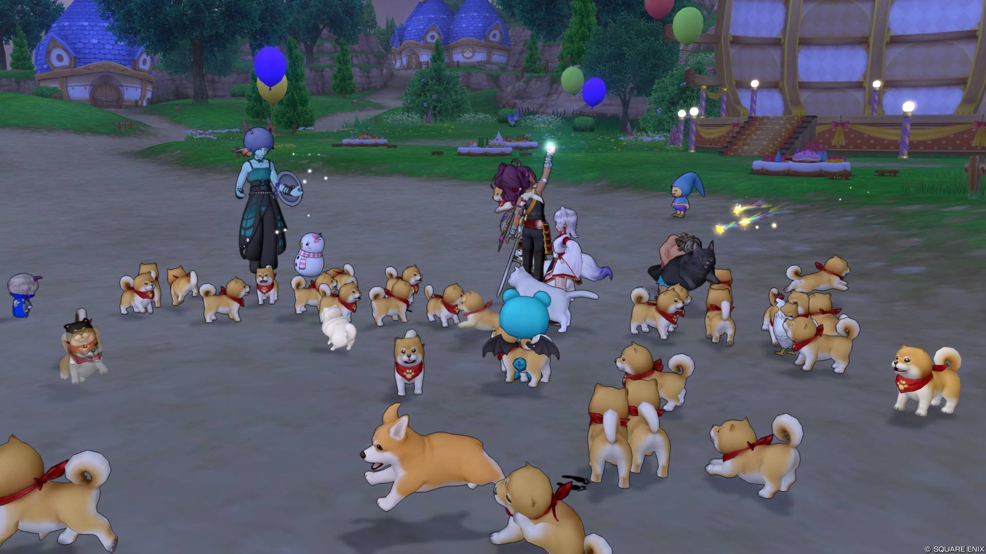 へんげの杖でドッグラン！