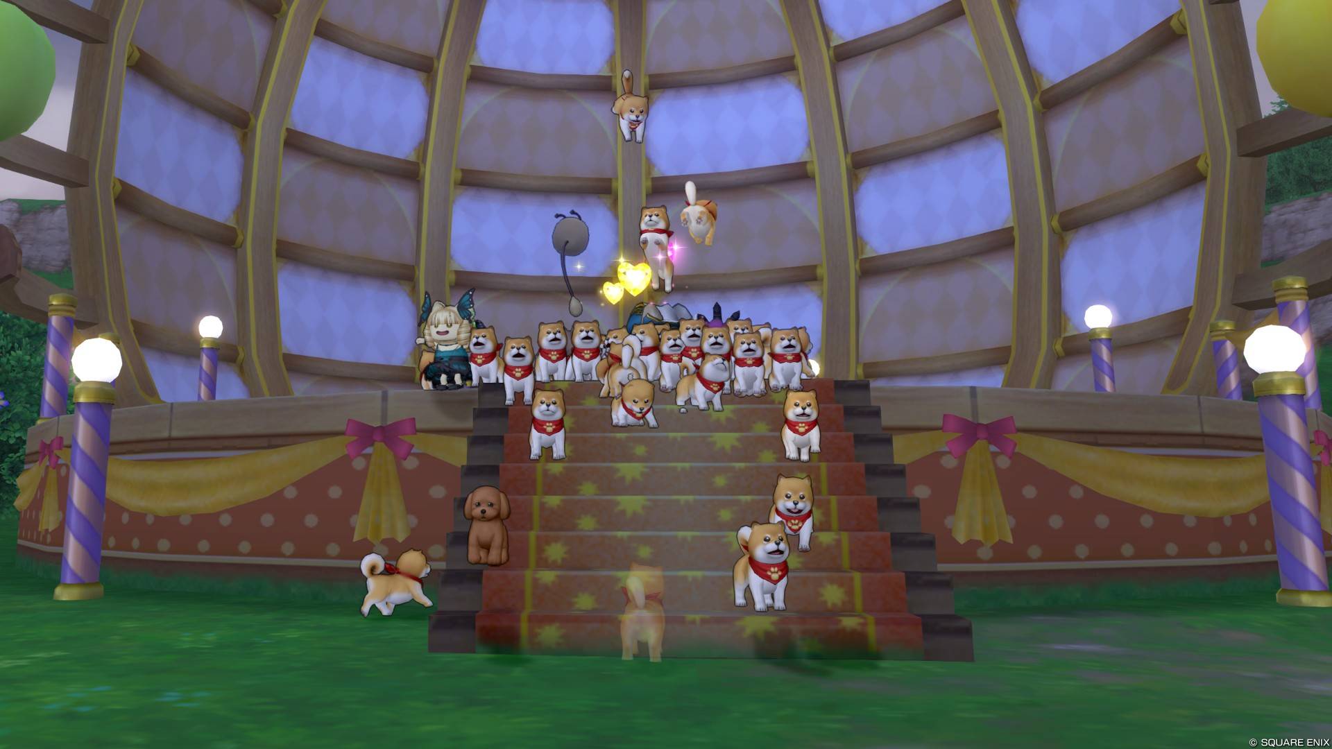 へんげの杖でドッグラン！