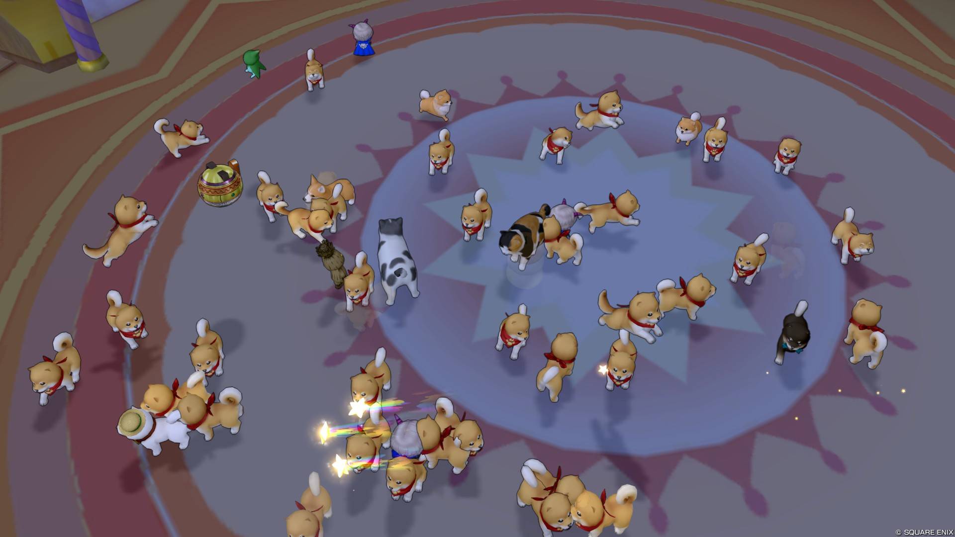 へんげの杖でドッグラン！