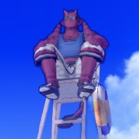 画像：ゴウレ[撮影場所：キュララナビーチ]