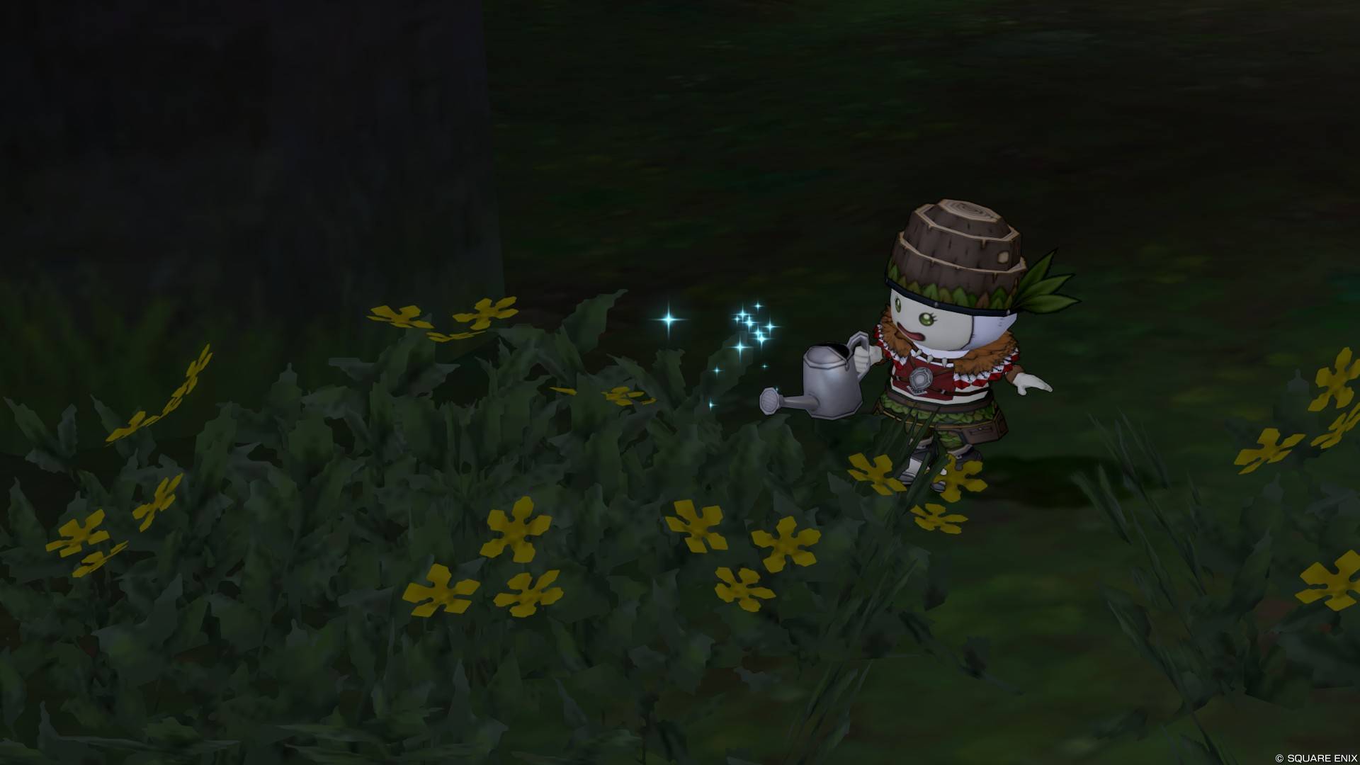 水やり
