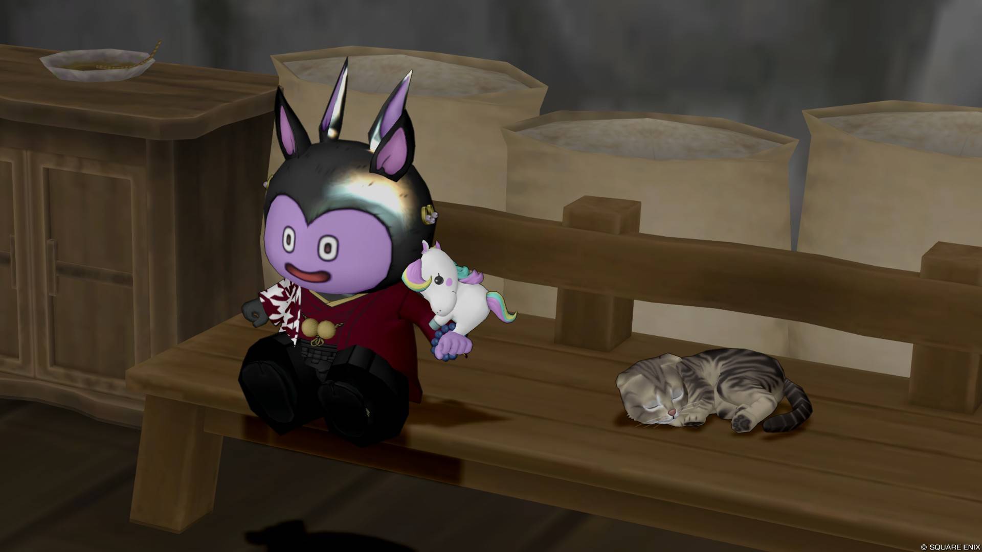 猫
