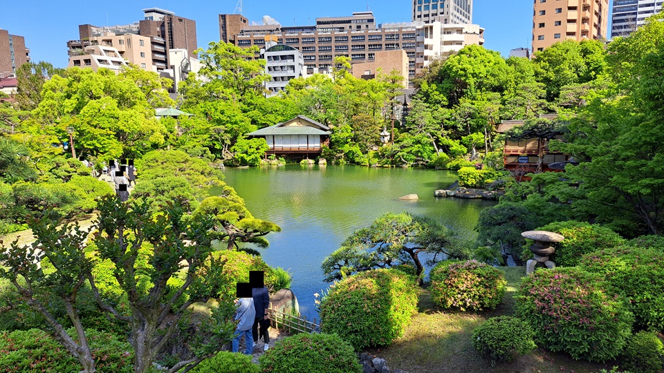 相楽園 庭園